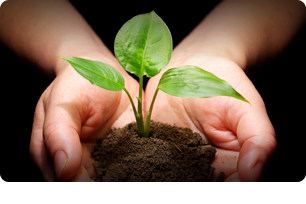 Bankruptcy